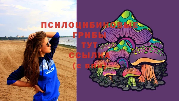 скорость mdpv Алзамай