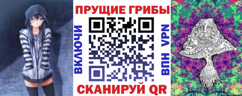 Псилоцибиновые грибы Psilocybine cubensis  купить закладку  Венёв 